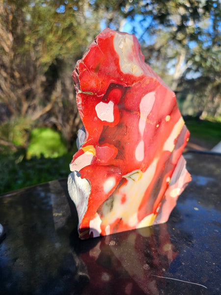 Polished Mookaite  MK556