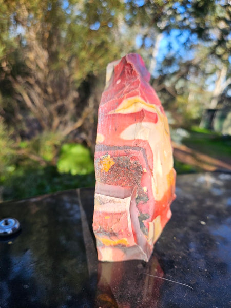 Polished Mookaite  MK556