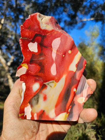 Polished Mookaite  MK556