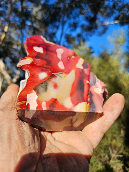 Polished Mookaite  MK556