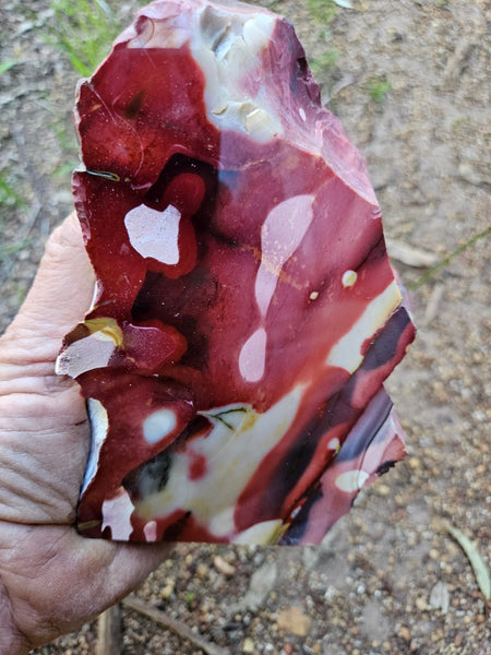 Polished Mookaite  MK556