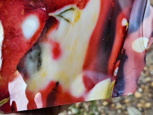 Polished Mookaite  MK556