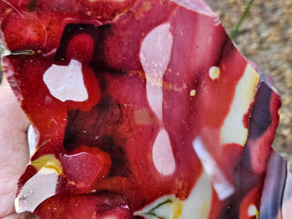 Polished Mookaite  MK556