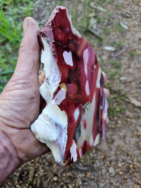 Polished Mookaite  MK556