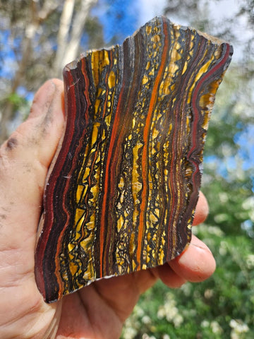 Polished Tiger Iron  TI382