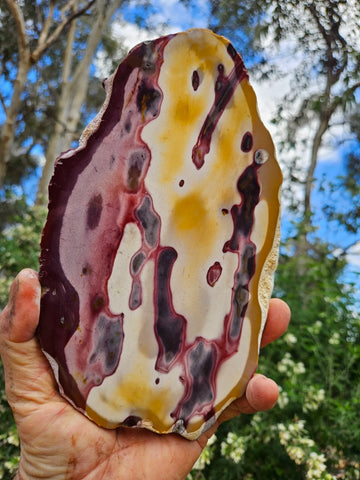 Polished  Mookaite slab MK557