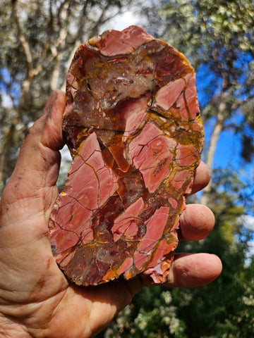 Polished Brecciated Pink Opal  POP205