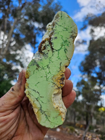 Polished Lime Magnesite . MAP222