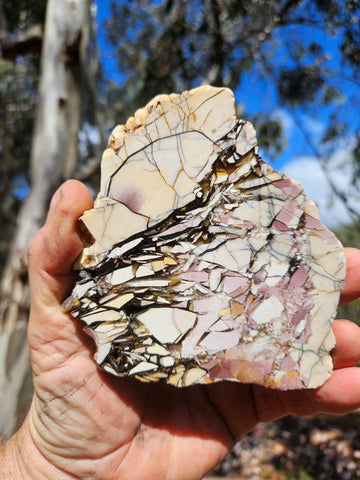 Polished Brecciated Mookaite slab BM337