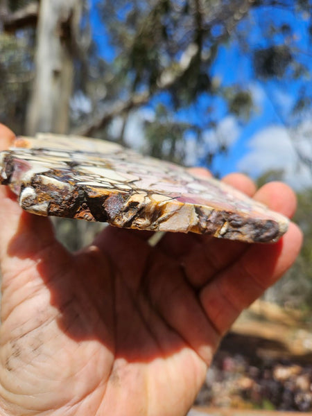 Polished Brecciated Mookaite slab BM337
