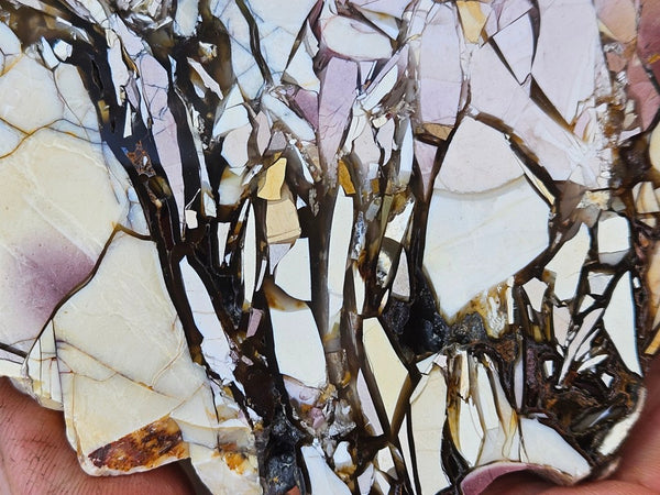 Polished Brecciated Mookaite slab BM337
