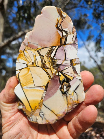 Polished Brecciated Mookaite slab BM335