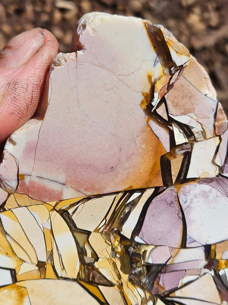 Polished Brecciated Mookaite slab BM335