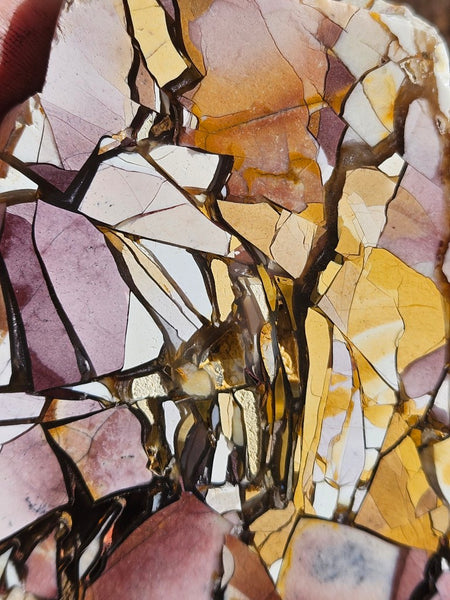Polished Brecciated Mookaite slab BM338