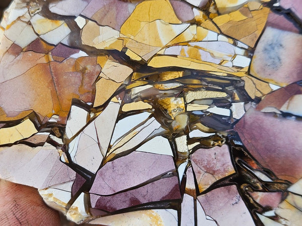 Polished Brecciated Mookaite slab BM338