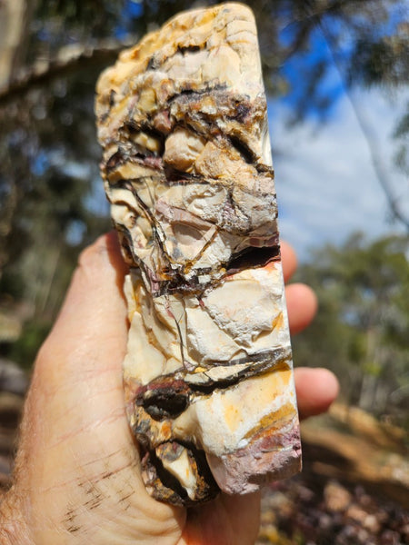 Polished Brecciated Mookaite rock BM339