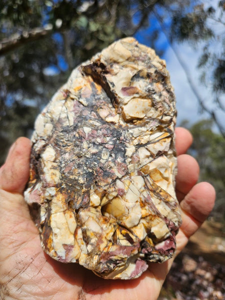 Polished Brecciated Mookaite rock BM339
