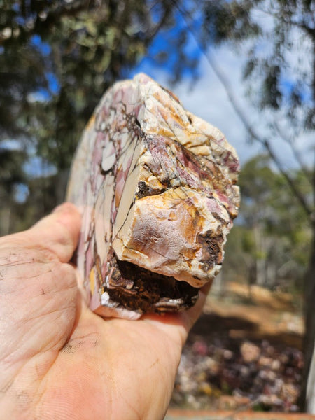 Polished Brecciated Mookaite rock BM339