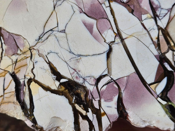 Polished Brecciated Mookaite rock BM339