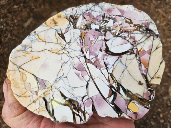 Polished Brecciated Mookaite rock BM339