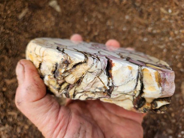 Polished Brecciated Mookaite rock BM339