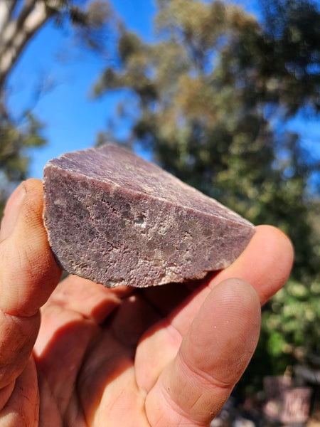 Polished Lepidolite  LEP231