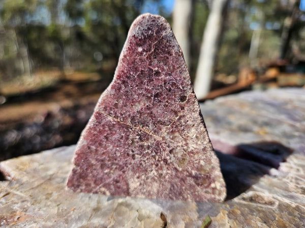 Polished Lepidolite  LEP231