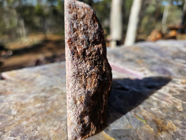 Polished Lepidolite  LEP231