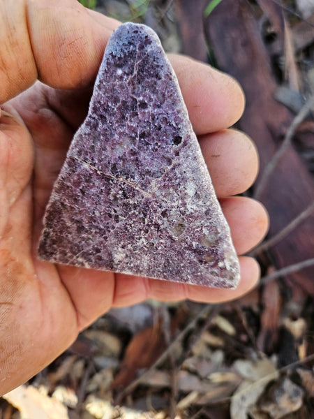 Polished Lepidolite  LEP231