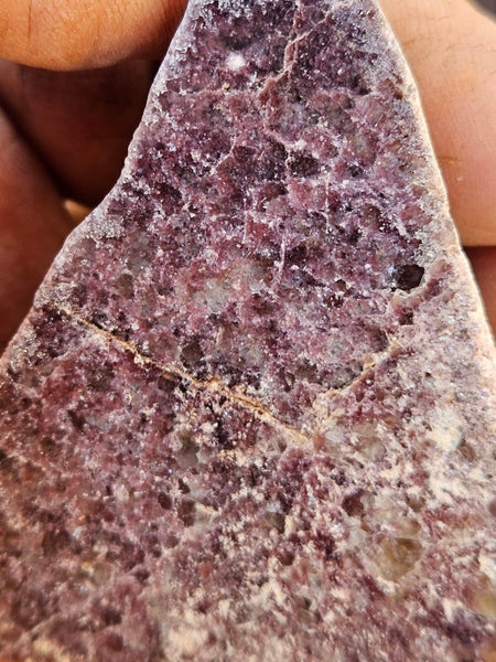 Polished Lepidolite  LEP231