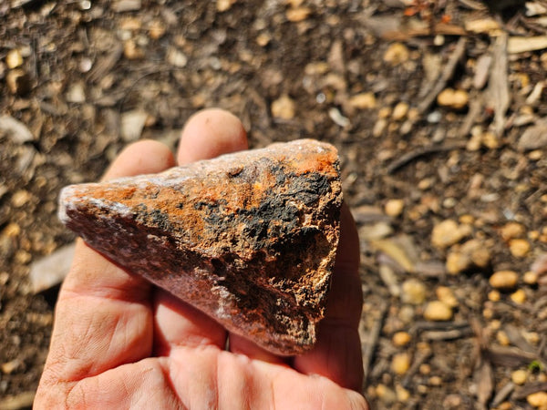 Polished Lepidolite  LEP231