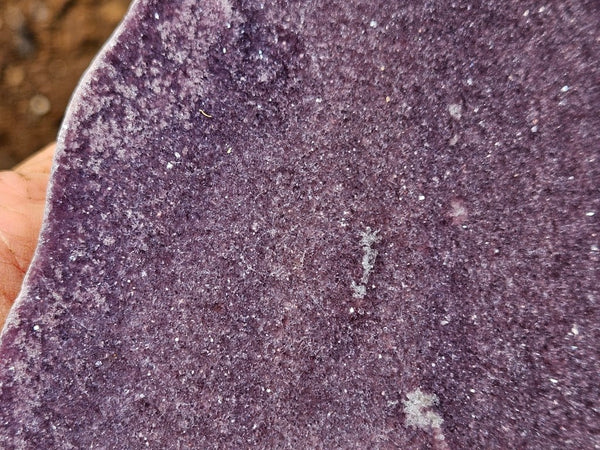 Polished Lepidolite slab LEP229
