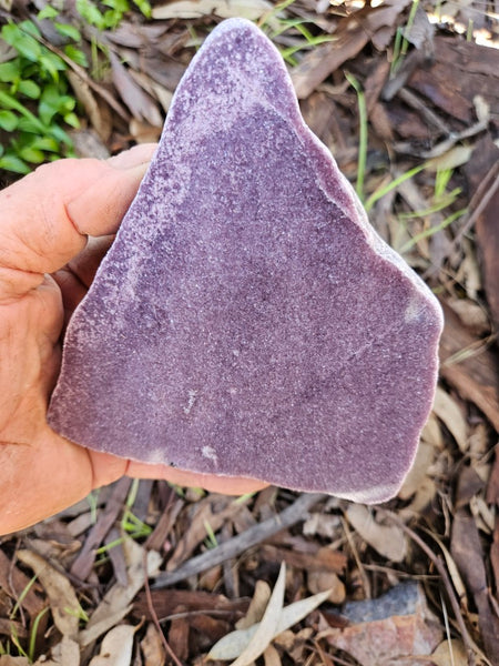 Polished Lepidolite slab LEP229