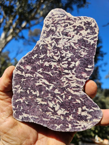 Polished Lepidolite slab LEP230