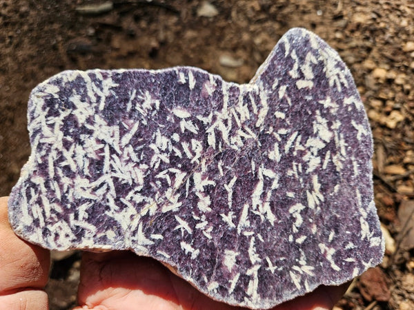 Polished Lepidolite slab LEP230