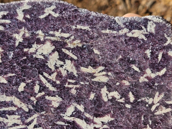 Polished Lepidolite slab LEP230