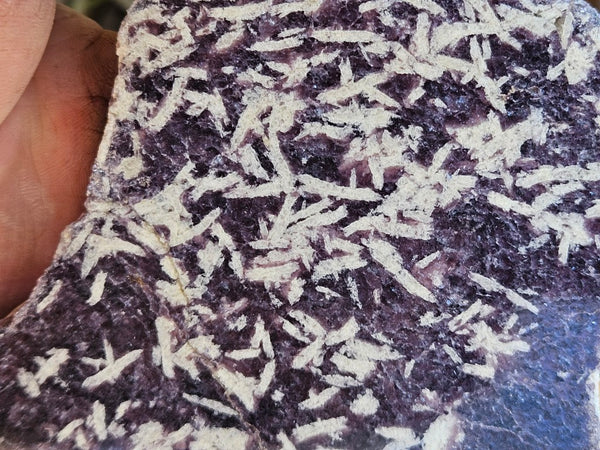 Polished Lepidolite slab LEP230