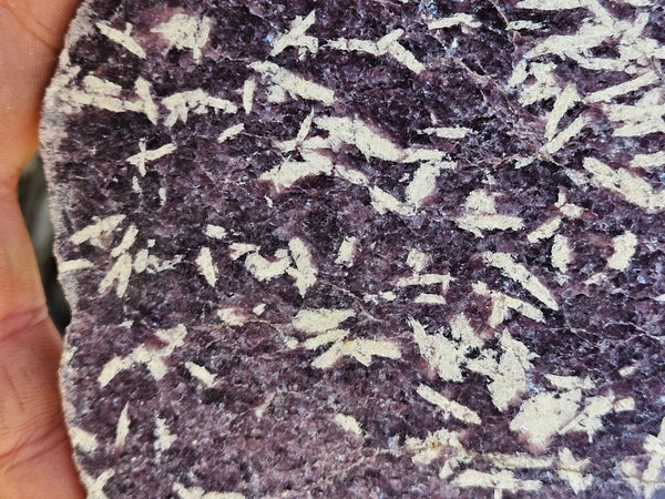 Polished Lepidolite slab LEP230