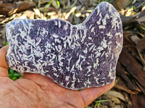 Polished Lepidolite slab LEP230