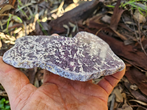 Polished Lepidolite slab LEP230