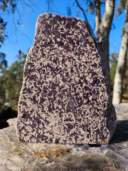 Polished Lepidolite  LEP228