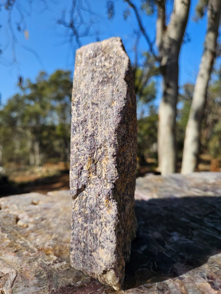 Polished Lepidolite  LEP228
