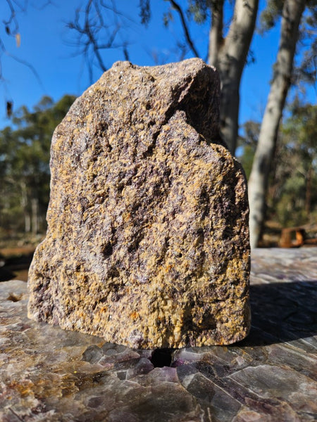 Polished Lepidolite  LEP228