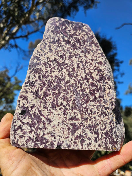 Polished Lepidolite  LEP228
