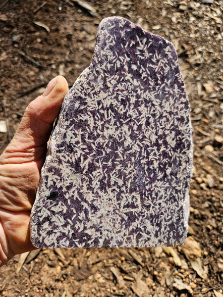 Polished Lepidolite  LEP228