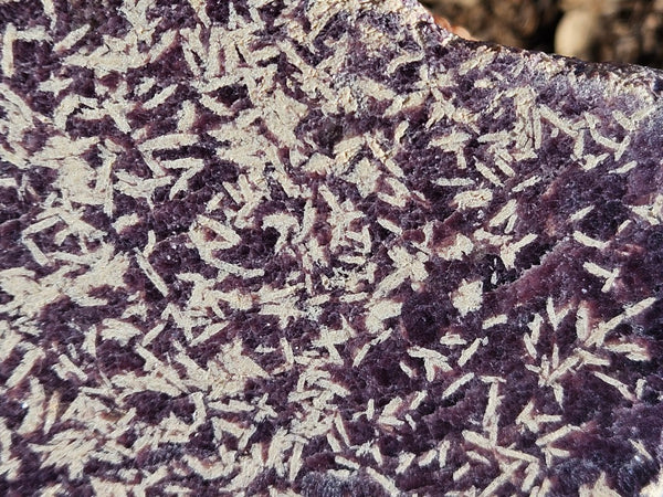 Polished Lepidolite  LEP228