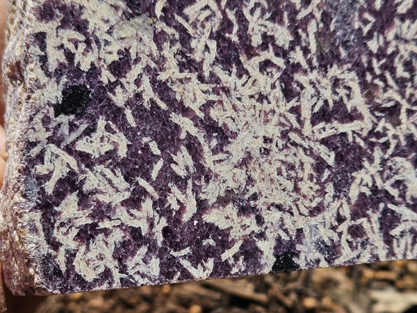 Polished Lepidolite  LEP228