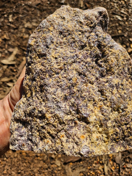 Polished Lepidolite  LEP228