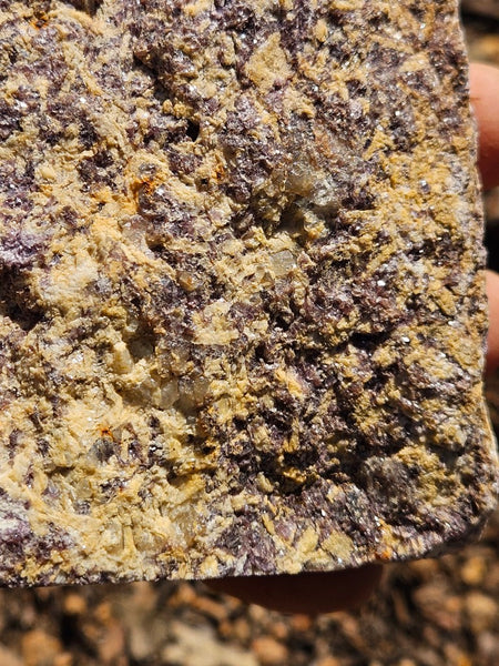 Polished Lepidolite  LEP228