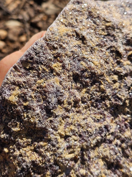 Polished Lepidolite  LEP228